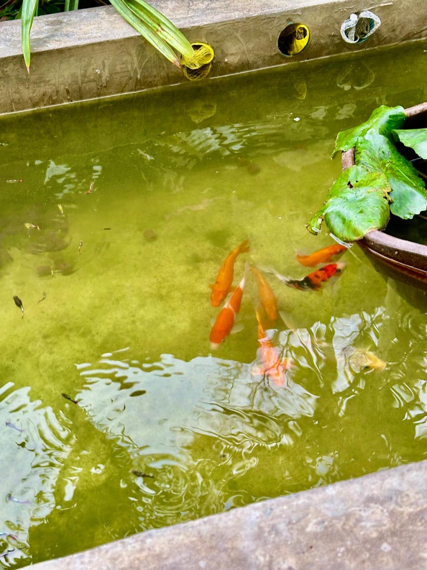 曼谷 Baan Debtida酒店 外观 照片